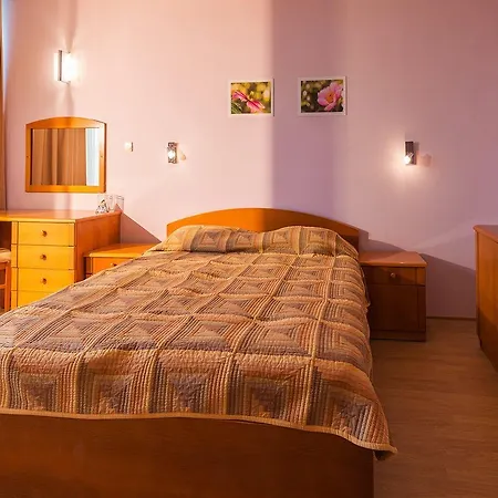 Ivana Palace - Free Parking Szálloda 4*