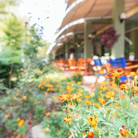 Ivana Palace - Free Parking Szálloda 4*