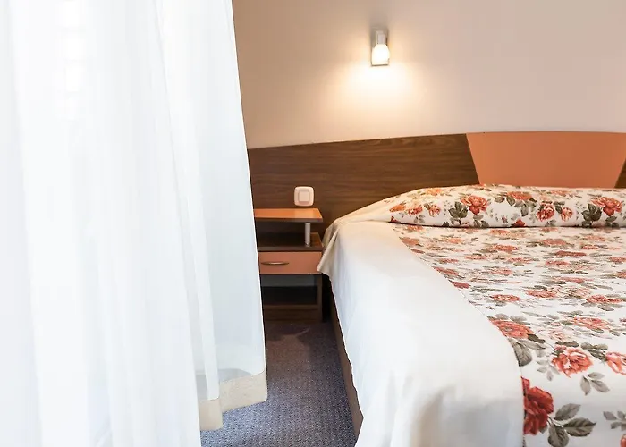 ホテル Ivana Palace - Free Parking