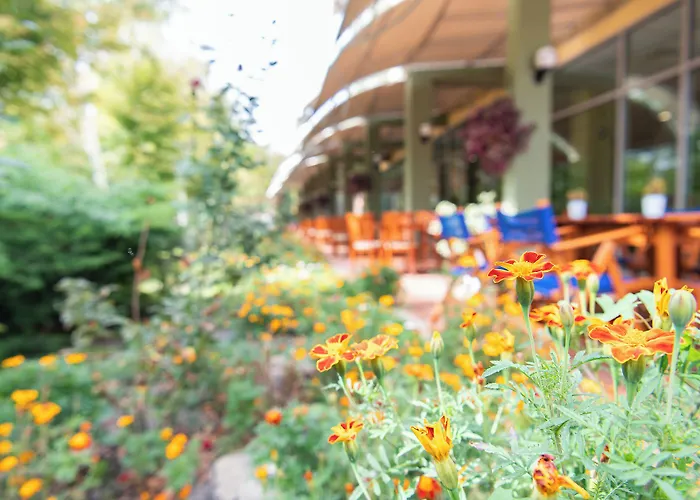 Ivana Palace - Free Parking ホテル 4*