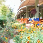Ivana Palace - Free Parking Hotel 4*