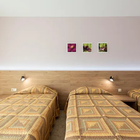 Hotel Ivana Palace - Free Parking 4*
