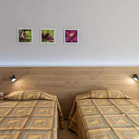 Hotel Ivana Palace - Free Parking Sunny Beach