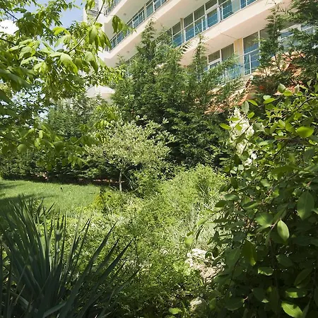 Hotel Ivana Palace 4*