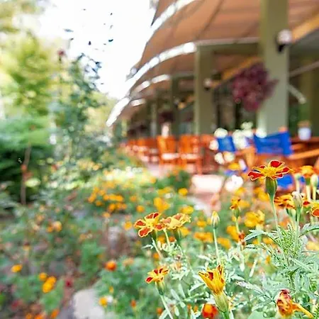 Hotel Ivana Palace - Free Parking 4*