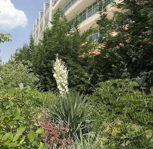 Ivana Palace - Free Parking Sluneční pobřeží